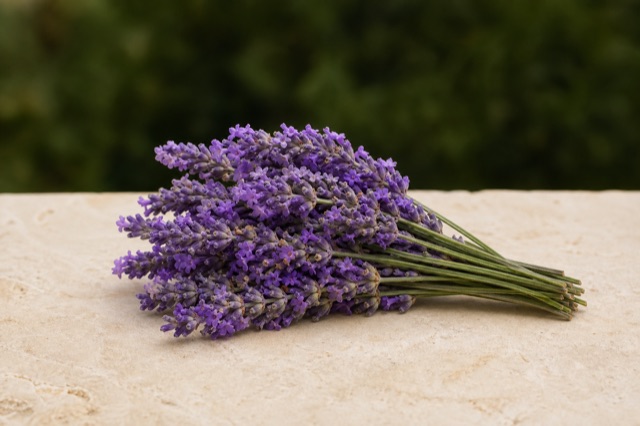 Linalool aroma — smells like Floral lavender, soft spice
