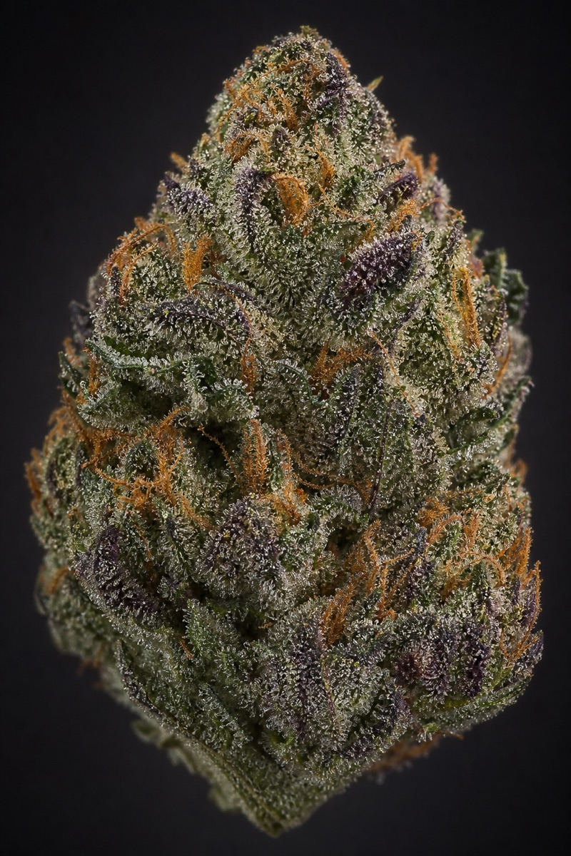 Macro of a frosty cannabis flower bud