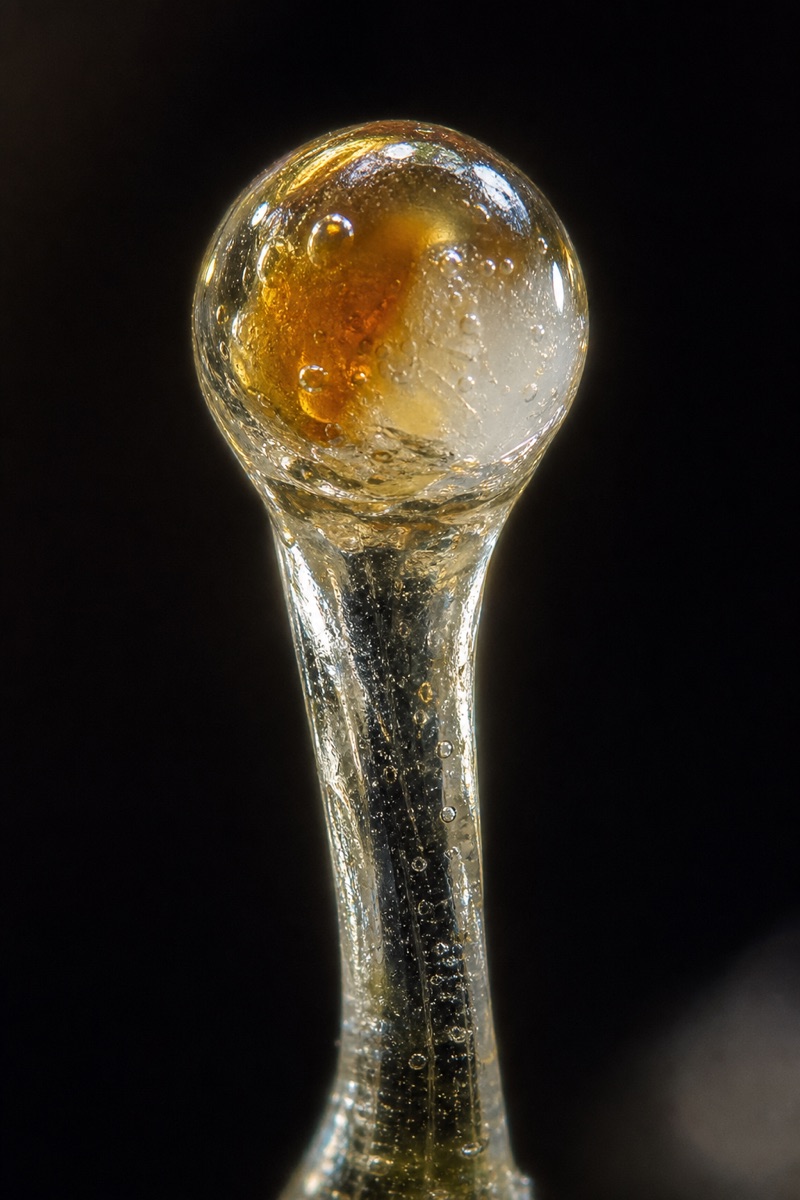 A single capitate-stalked trichome — clear stalk and glandular head