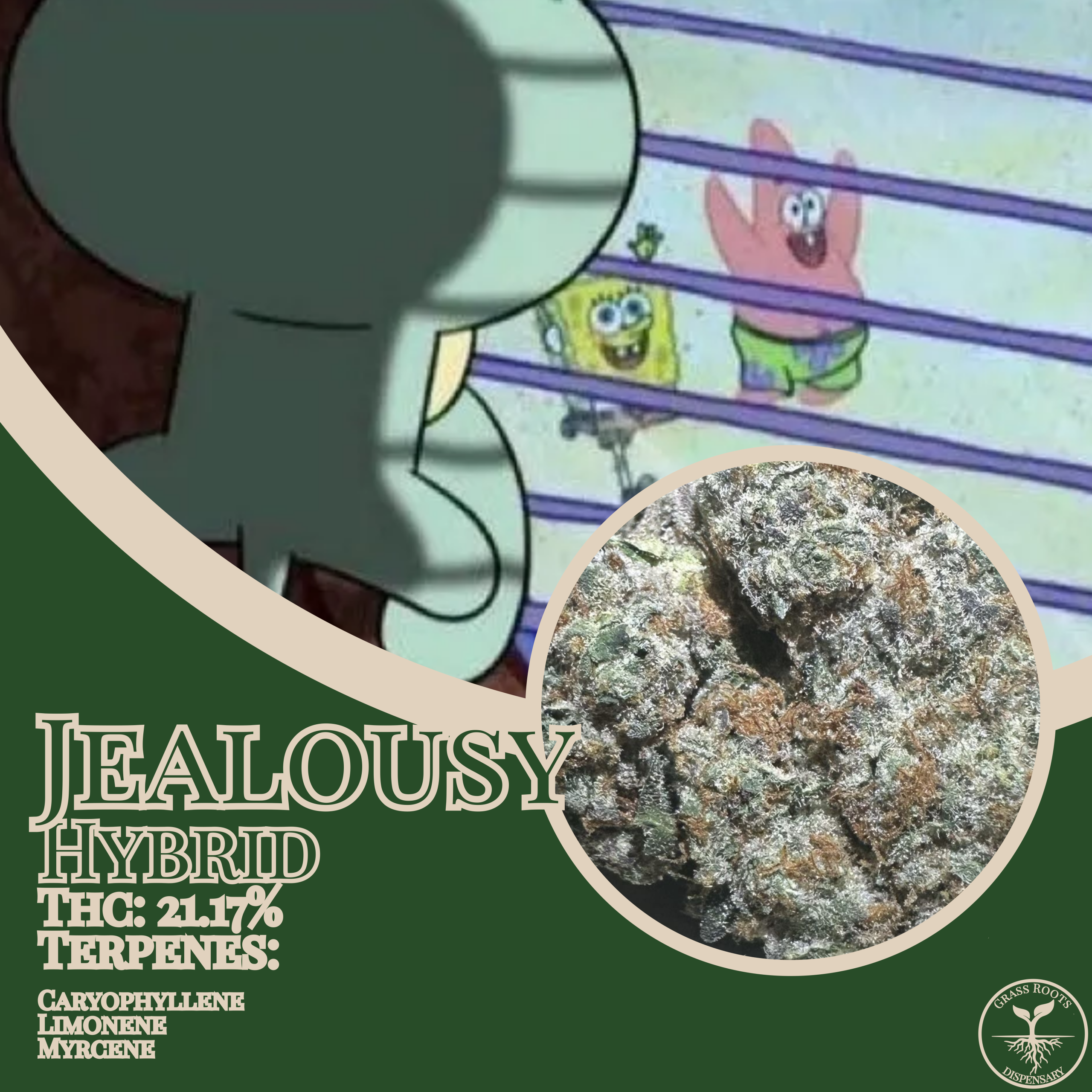 Jealousy strain of the week graphic from Grass Roots Dispensary